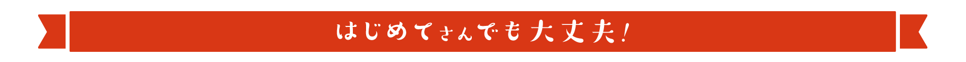 はじめてさんでも大丈夫